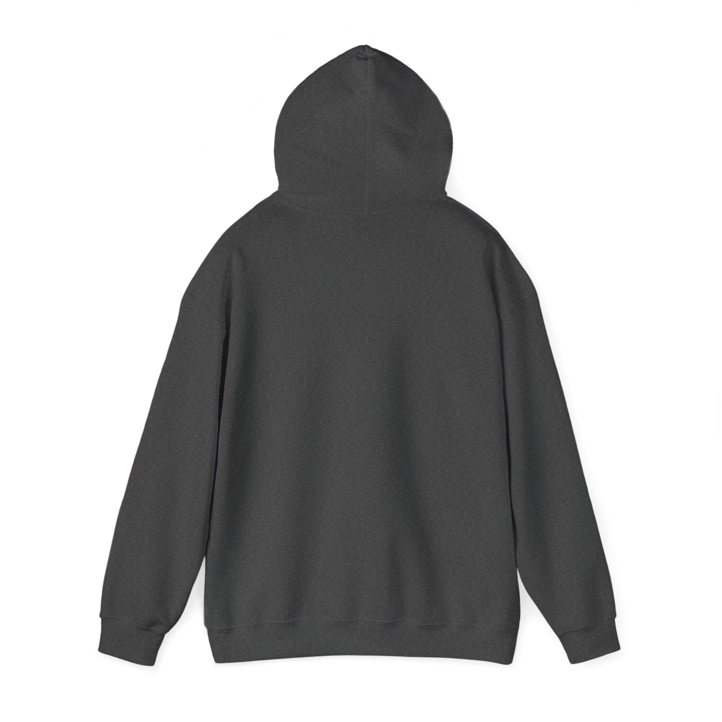 BRICK CITY UNISEX HOODIE