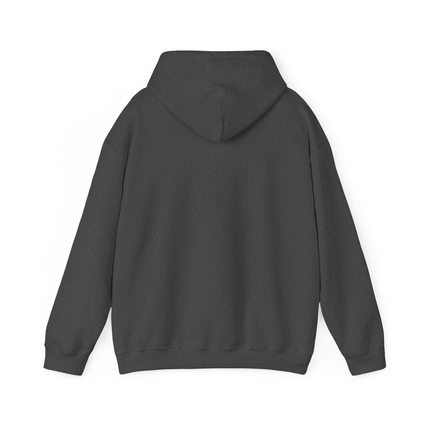 BRICK CITY UNISEX HOODIE