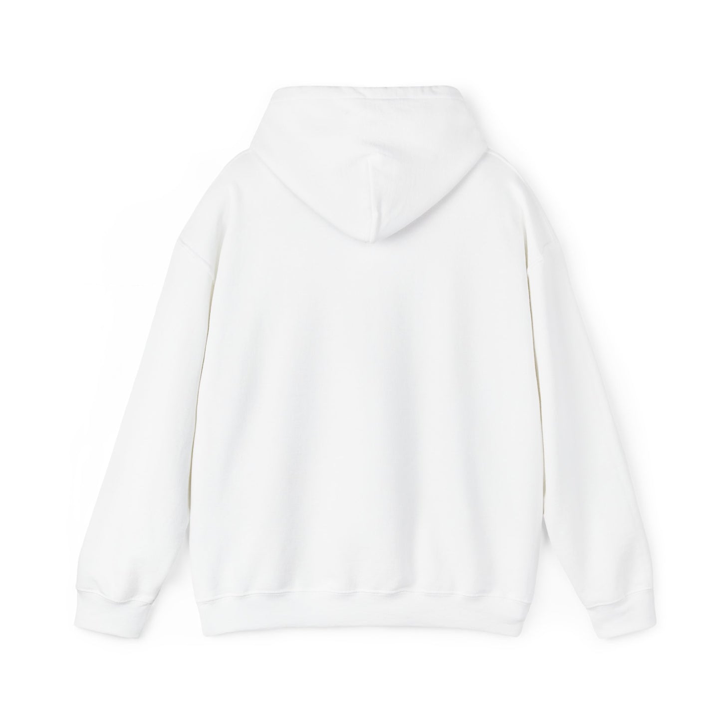 BRICK CITY UNISEX HOODIE