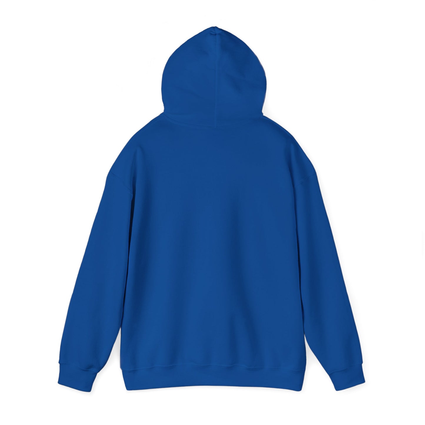 BRICK CITY UNISEX HOODIE