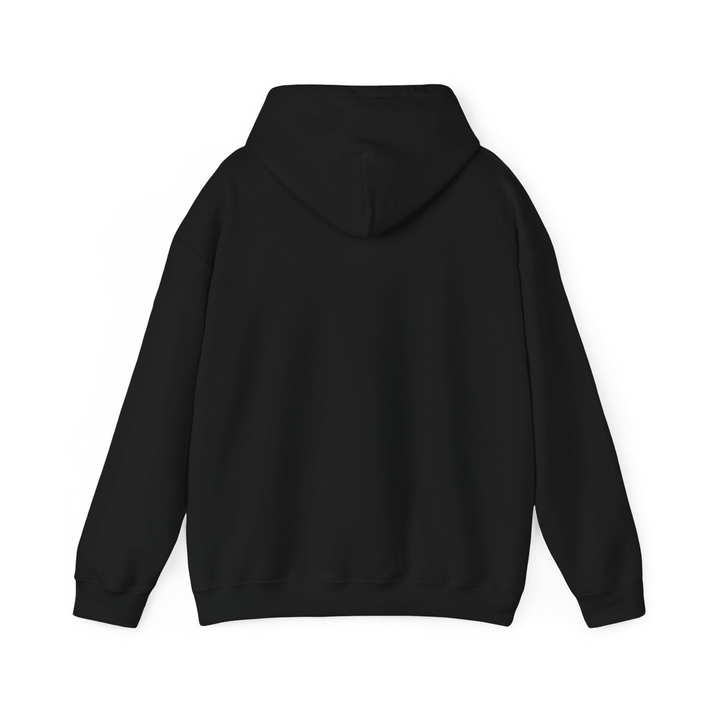 BRICK CITY UNISEX HOODIE