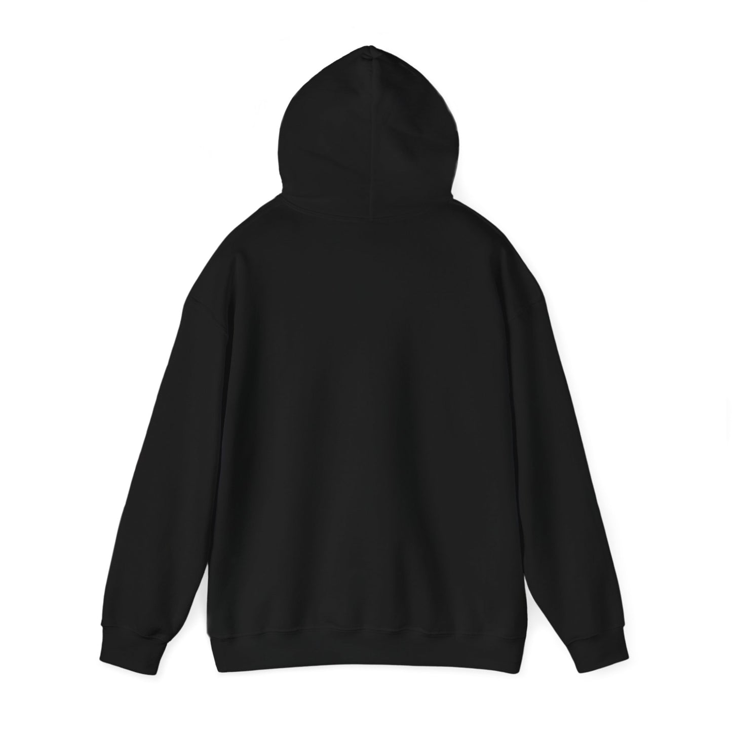 BRICK CITY UNISEX HOODIE