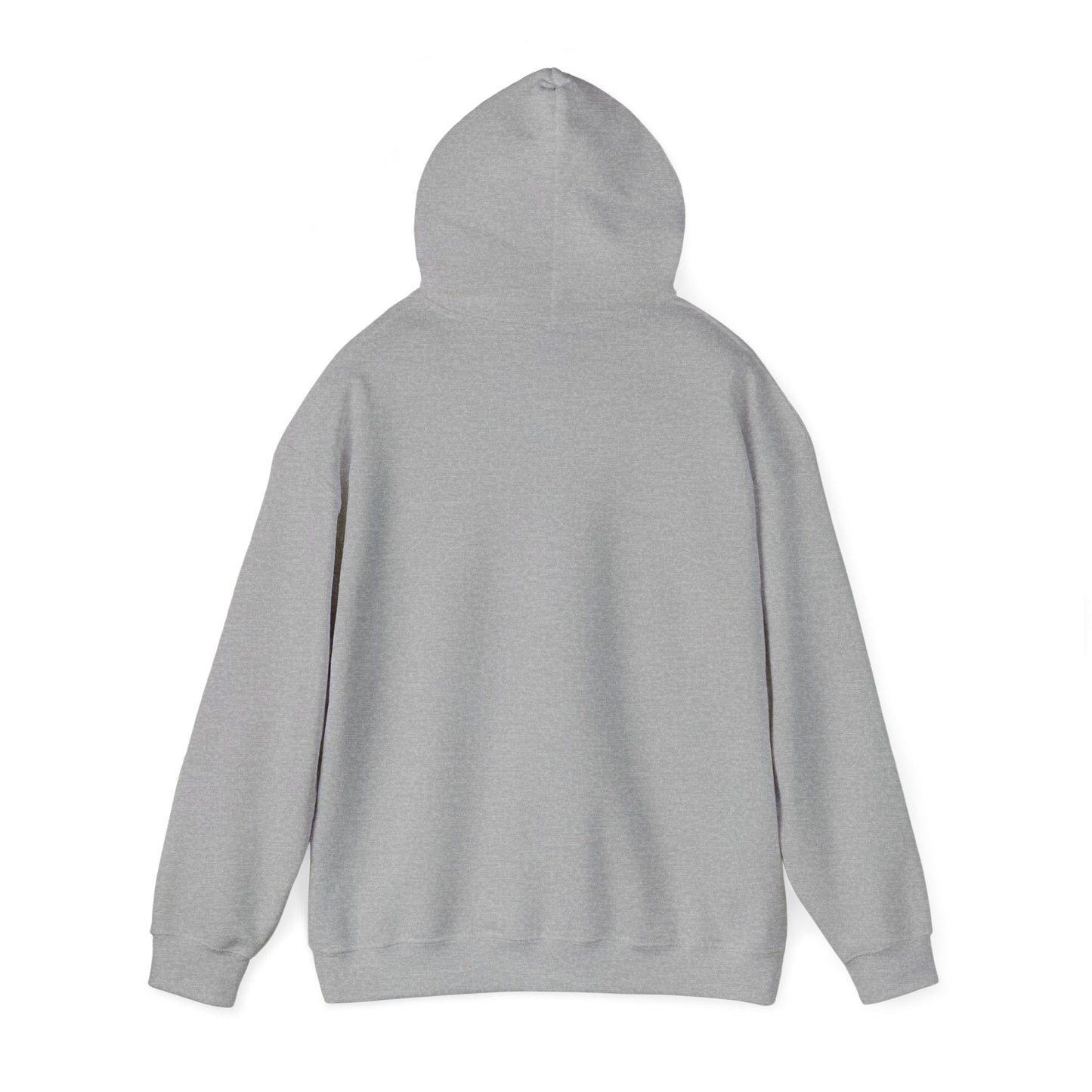 BRICK CITY UNISEX HOODIE