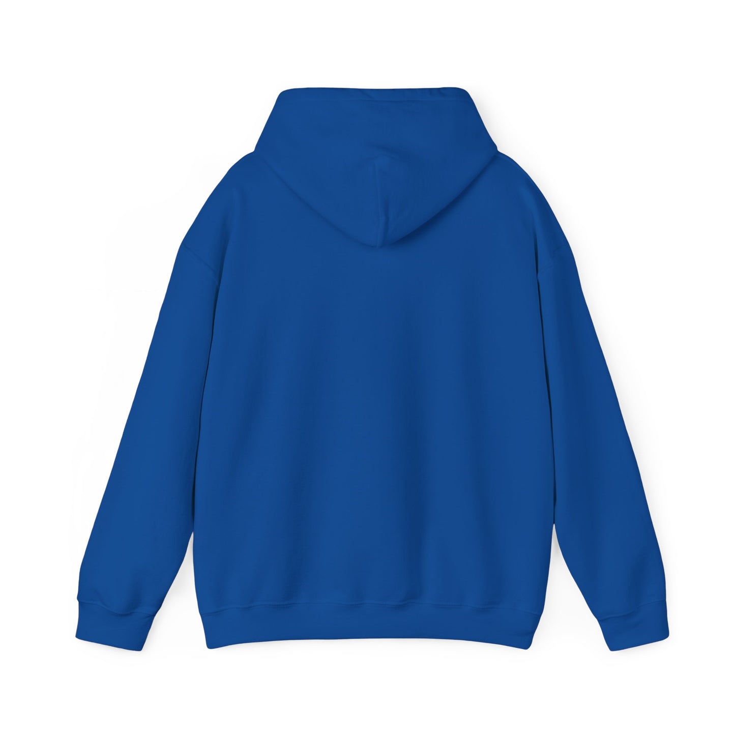 BRICK CITY UNISEX HOODIE