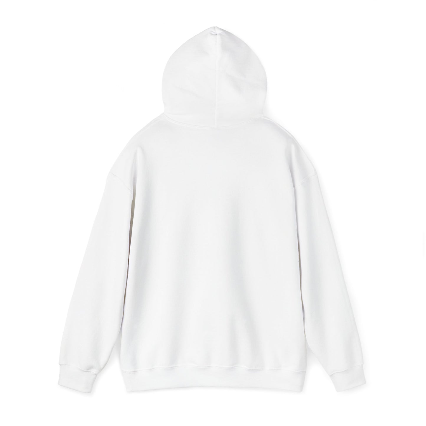 BRICK CITY UNISEX HOODIE
